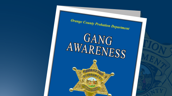 Gang Awareness Guide