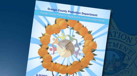 Juvenile Justice Guidebook