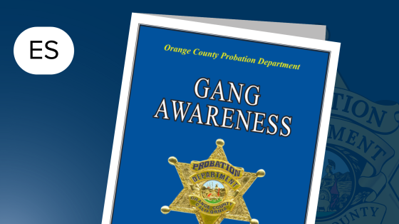 Gang Awareness Brochure Spanish