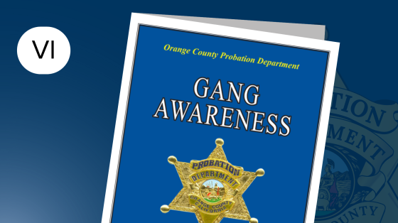 Gang Awareness Brochure Vietnamese