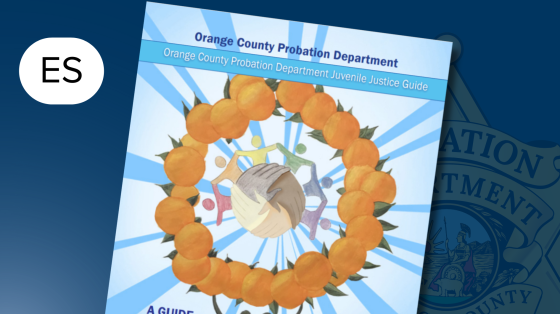 Juvenile Justice Guidebook