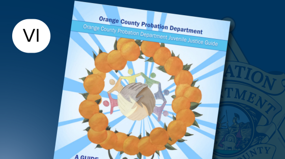 Juvenile Justice Guidebook