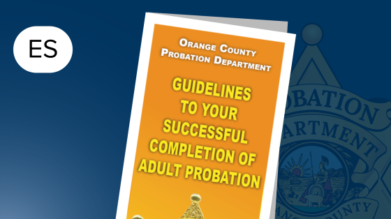 successful completion of adult probation