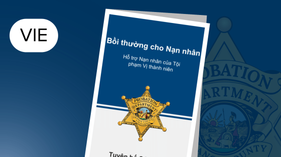 Restitution For Victims of Juvenile Offenders